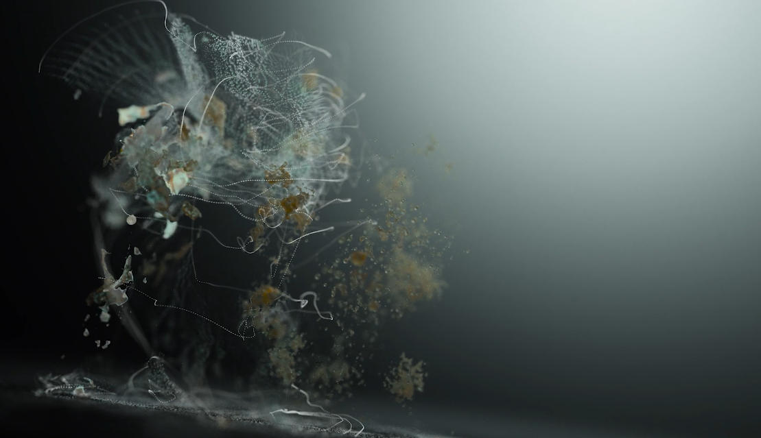 Sympoietic Bodies gallery 01