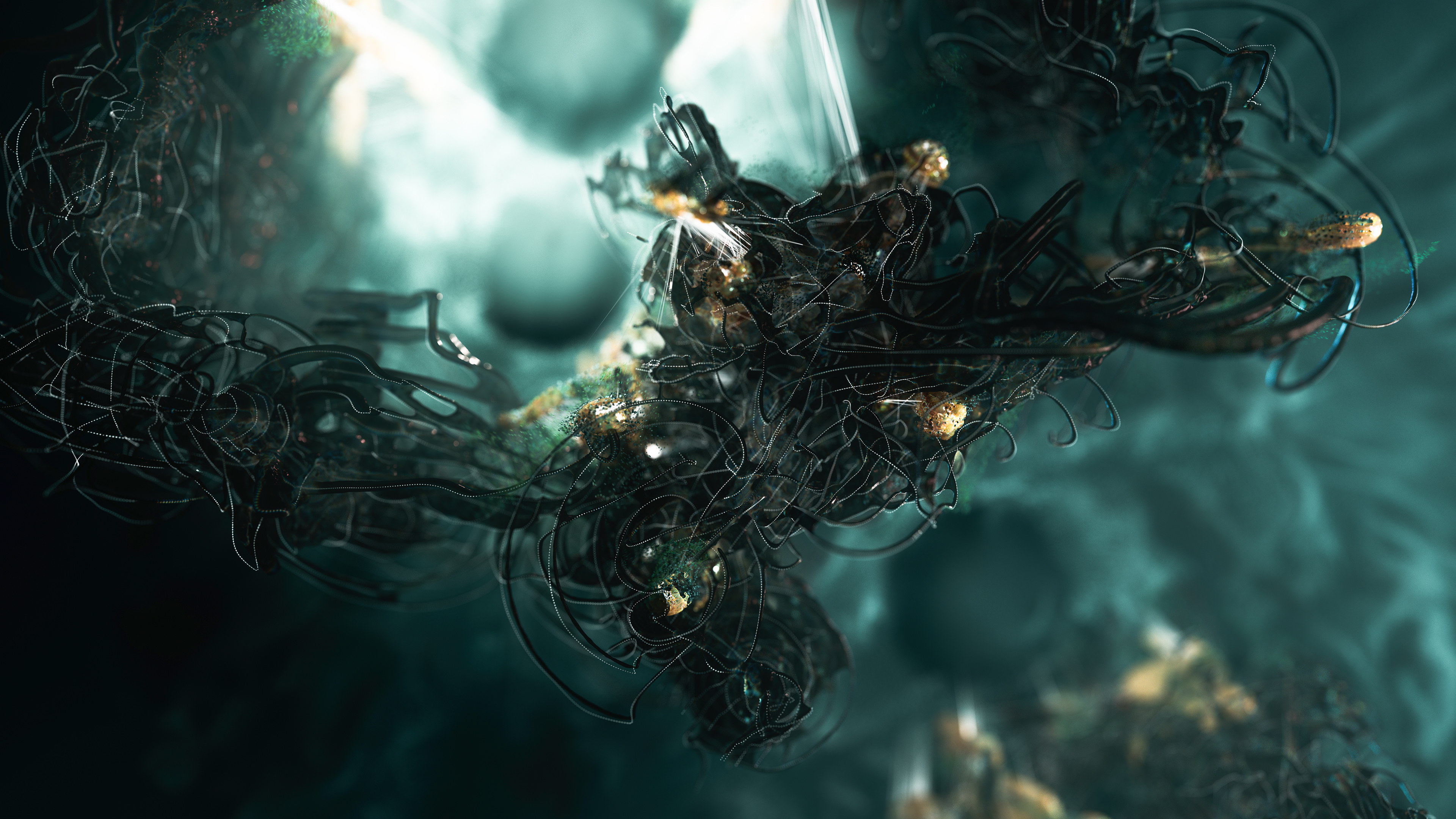 Sympoietic Bodies gallery 03